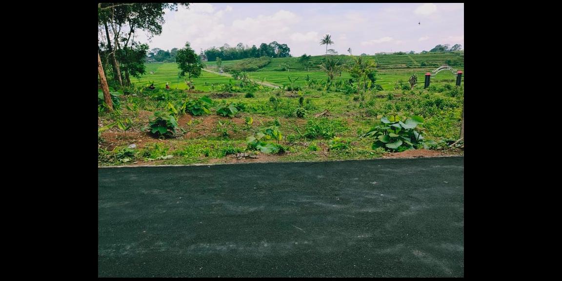 Tanah Strategis Dataran Tinggi View Sawah Karangpandan Karanganyar Tanah Strategis Dataran Tinggi View Sawah Karangpandan Karanganyar