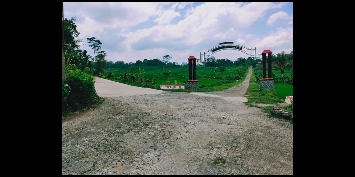 Tanah Strategis Dataran Tinggi View Sawah Karangpandan Karanganyar Tanah Strategis Dataran Tinggi View Sawah Karangpandan Karanganyar