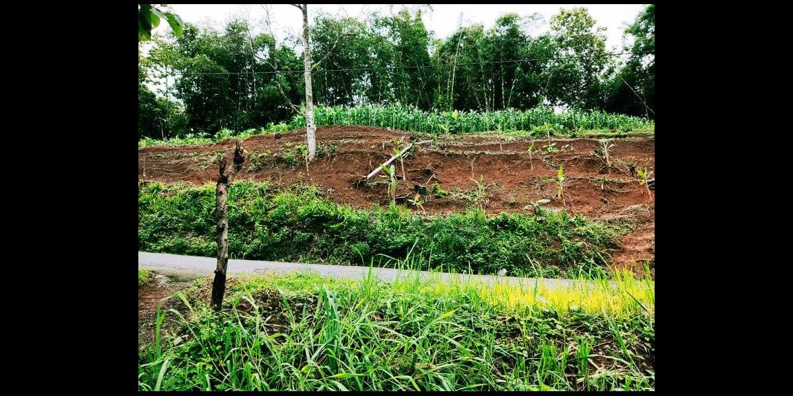 Tanah Strategis Tepi Jl. Raya Kerjo-Kemuning Karanganyar Tanah Strategis Tepi Jl. Raya Kerjo-Kemuning Karanganyar