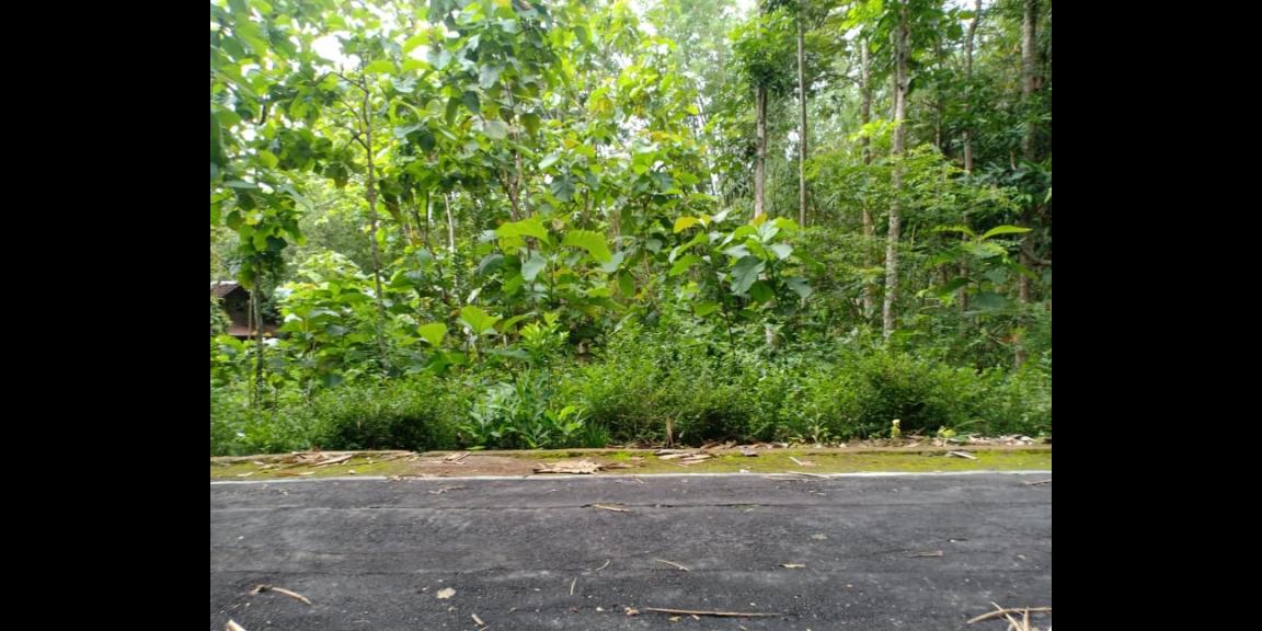 Tanah Datar Strategis Siap Dibangun Kerjo Karanganyar Tanah Datar Strategis Siap Dibangun Kerjo Karanganyar