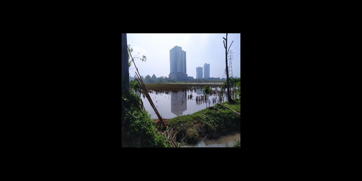 Dijual Tanah Strategis di Desa Langenharjo, Sukoharjo Dijual Tanah Strategis di Desa Langenharjo, Sukoharjo