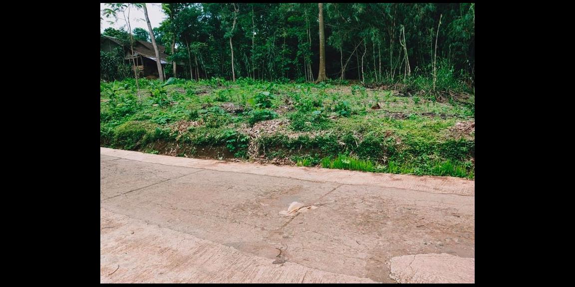 Tanah Siap Dibangun Desa Wisata Mojogedang Karanganyar Tanah Siap Dibangun Desa Wisata Mojogedang Karanganyar