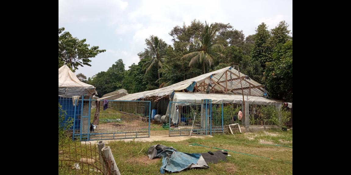 DIJUAL LAHAN KEBUN HOLTIKULTURA BUAH NAGA & TIN LINGKAR SELATAN, CILEGON DIJUAL LAHAN KEBUN HOLTIKULTURA BUAH NAGA & TIN LINGKAR SELATAN, CILEGON