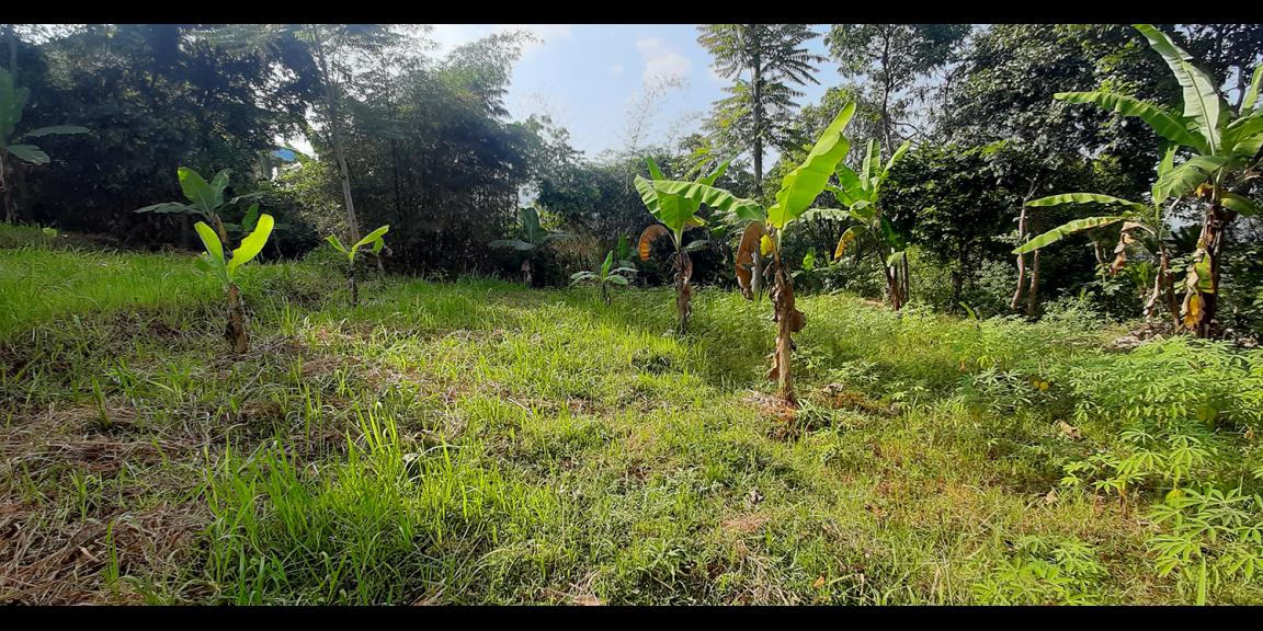 TANAH KOMERSIAL MAIN ROAD ARCAMANIK SINDANGLAYA BANDUNG TANAH KOMERSIAL MAIN ROAD ARCAMANIK SINDANGLAYA BANDUNG