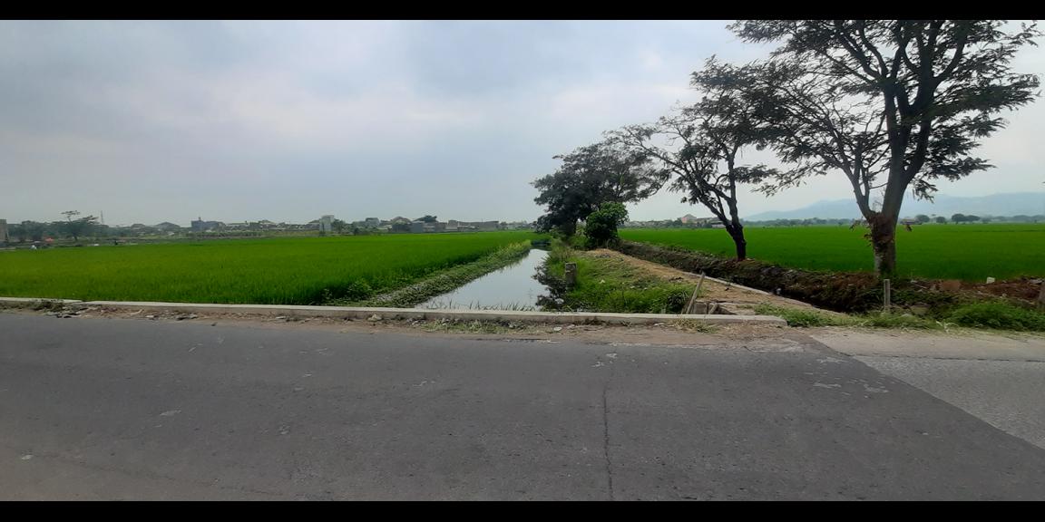 TANAH UNTUK PERUMAHAN DEKAT PODOMORO PARK BUAH BATU BANDUNG TANAH UNTUK PERUMAHAN DEKAT PODOMORO PARK BUAH BATU BANDUNG