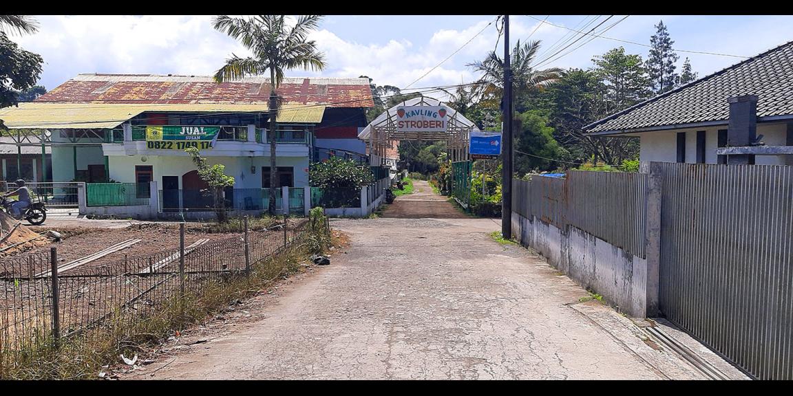 TANAH KAVLING STRAWBERRY SAYAP SERSAN BAJURI BANDUNG TANAH KAVLING STRAWBERRY SAYAP SERSAN BAJURI BANDUNG