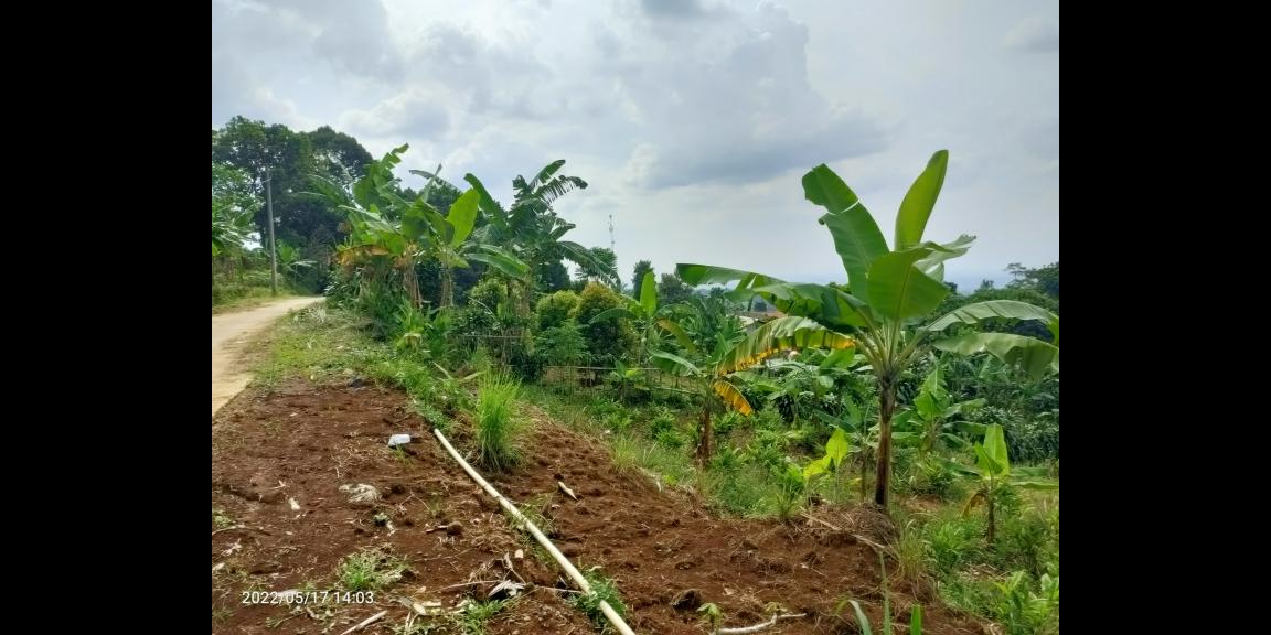 Jual Tanah di dataran tinggi Cijeruk Bogor View Indah Kota Bogor, Sentul dan Gunung Gede Jual Tanah di dataran tinggi Cijeruk Bogor View Indah Kota Bogor, Sentul dan Gunung Gede