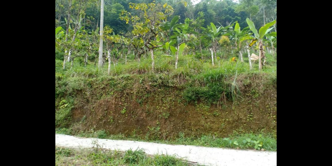 Tanah Strategis View Pemandangan Alam Indah Kemuning Karanganyar Tanah Strategis View Pemandangan Alam Indah Kemuning Karanganyar