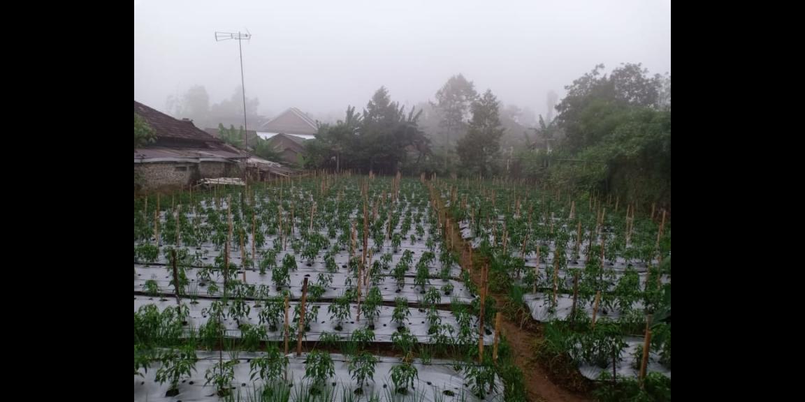 Tanah Strategis Siap Dibangun Kawasan Wisata Kemuning Karanganyar Tanah Strategis Siap Dibangun Kawasan Wisata Kemuning Karanganyar