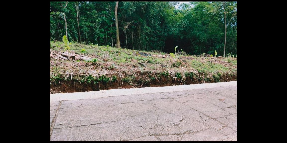 Tanah Siap Dibangun Desa Wisata Mojogedang Karanganyar Tanah Siap Dibangun Desa Wisata Mojogedang Karanganyar