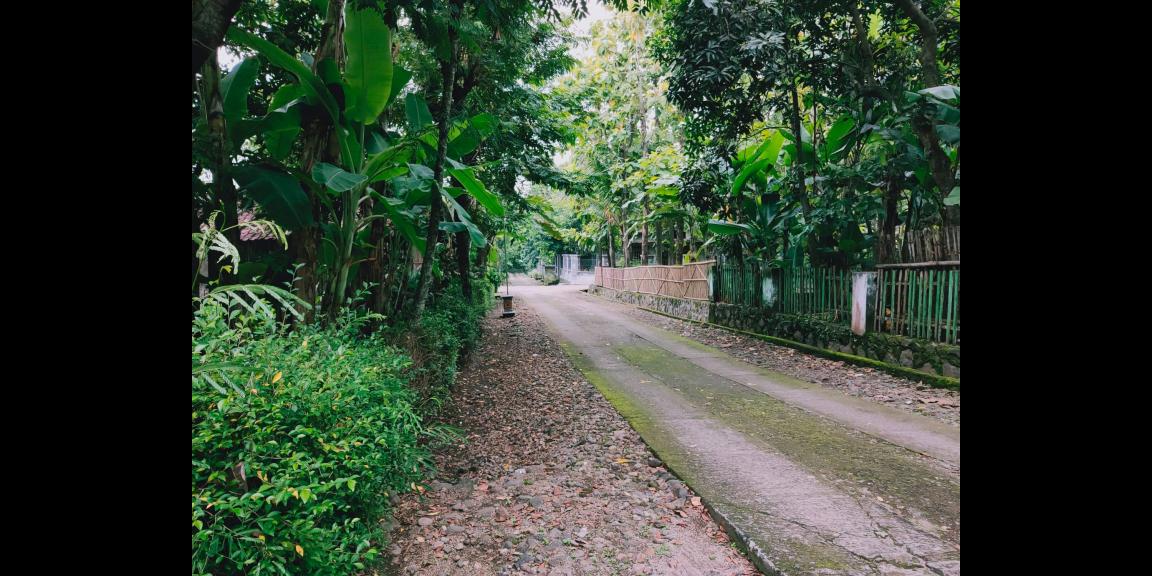 Tanah Bonus Rumah Jawa Siap Huni Kedawung Sragen Tanah Bonus Rumah Jawa Siap Huni Kedawung Sragen
