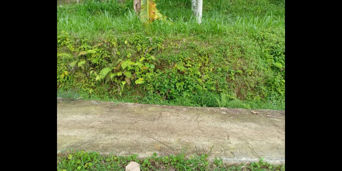 Tanah Idaman 1000m² View Perbukitan Alam Kemuning Karanganyar Tanah Idaman 1000m² View Perbukitan Alam Kemuning Karanganyar