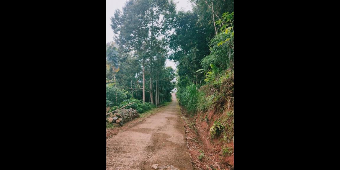 Tanah Bonus Kebun Durian Siap Panen Karangpandan Karanganyar Tanah Bonus Kebun Durian Siap Panen Karangpandan Karanganyar