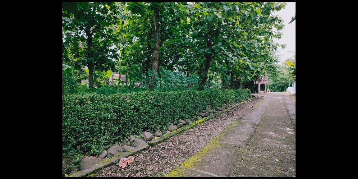 Rumah Siap Huni Lingkungan Asri Kedawung Sragen Rumah Siap Huni Lingkungan Asri Kedawung Sragen