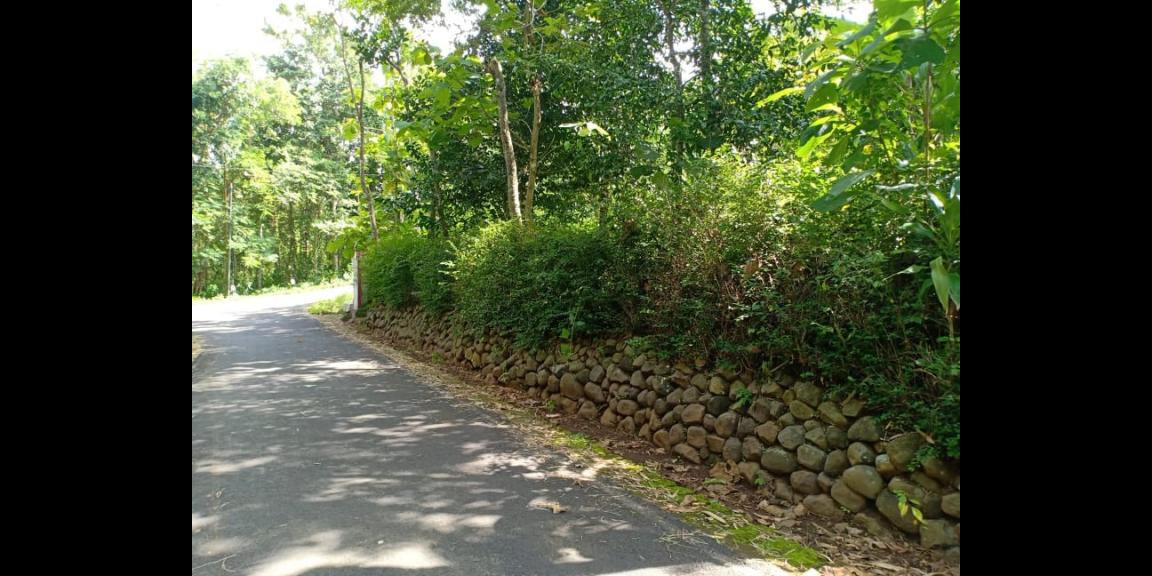 Tanah Strategis Buka Usaha Tepi Jl. Raya Batujamus Karanganyar Tanah Strategis Buka Usaha Tepi Jl. Raya Batujamus Karanganyar