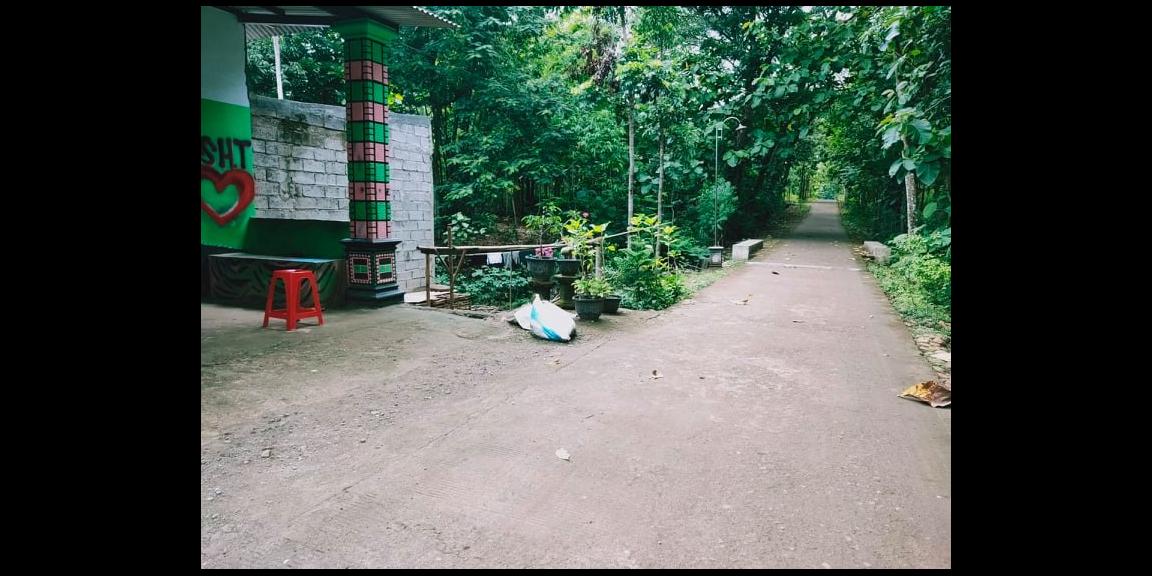 Rumah Siap Huni Lingkungan Asri Kedawung Sragen Rumah Siap Huni Lingkungan Asri Kedawung Sragen