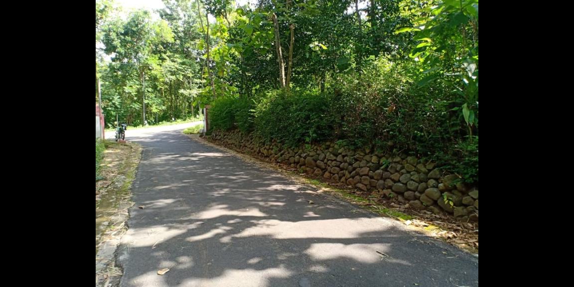 Tanah Strategis Buka Usaha Tepi Jl. Raya Batujamus Karanganyar Tanah Strategis Buka Usaha Tepi Jl. Raya Batujamus Karanganyar