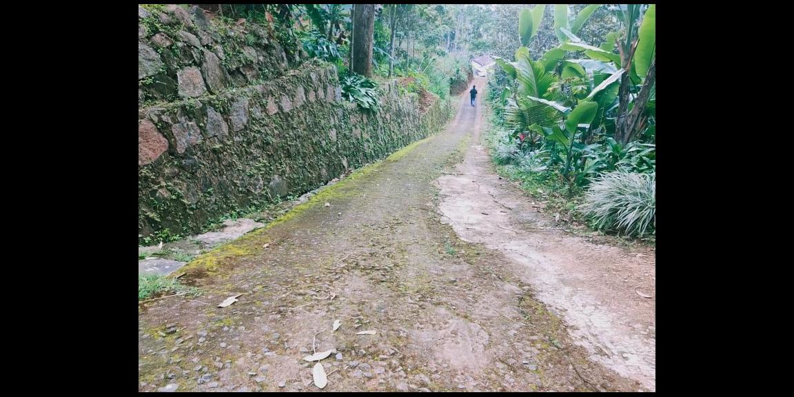 Tanah Kebun Durian 3000 m² Siap Panen Kawasan Wisata Alam Karangpandan Karanganyar Tanah Kebun Durian 3000 m² Siap Panen Kawasan Wisata Alam Karangpandan Karanganyar