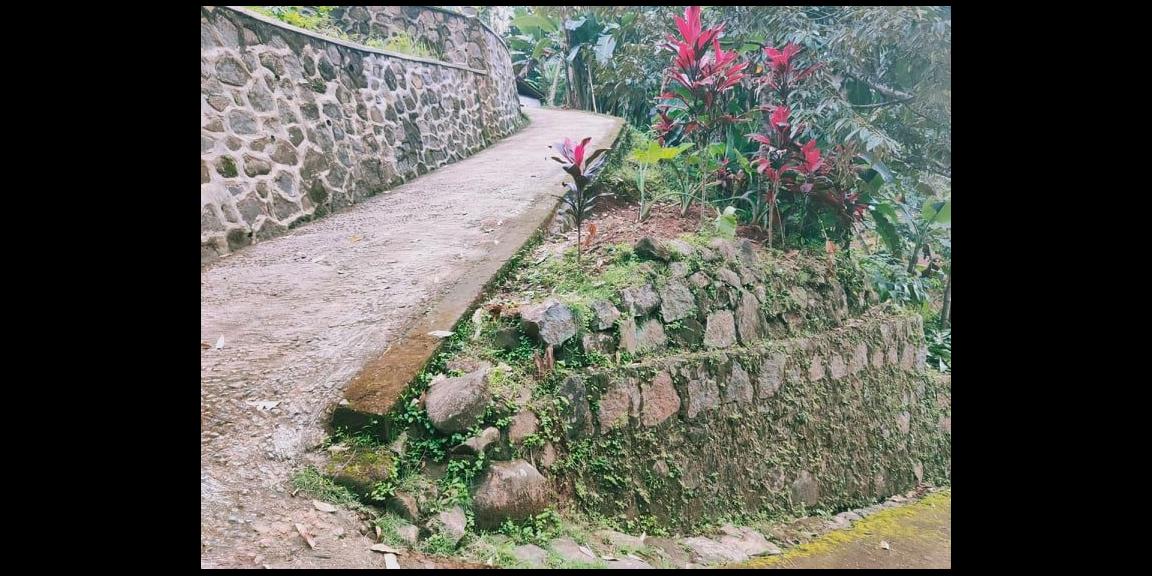 Tanah Kebun Durian 3000 m² Siap Panen Kawasan Wisata Alam Karangpandan Karanganyar Tanah Kebun Durian 3000 m² Siap Panen Kawasan Wisata Alam Karangpandan Karanganyar