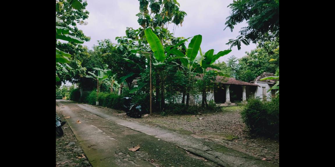 Tanah Bonus Rumah Jawa Siap Huni Kedawung Sragen Tanah Bonus Rumah Jawa Siap Huni Kedawung Sragen