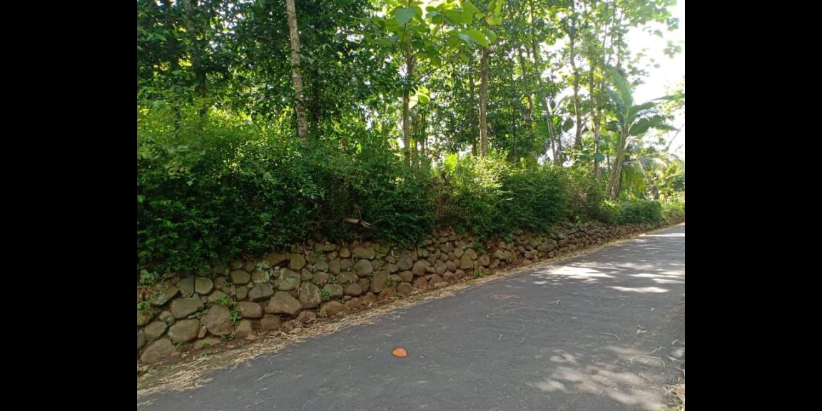 Tanah Strategis Buka Usaha Tepi Jl. Raya Batujamus Karanganyar Tanah Strategis Buka Usaha Tepi Jl. Raya Batujamus Karanganyar