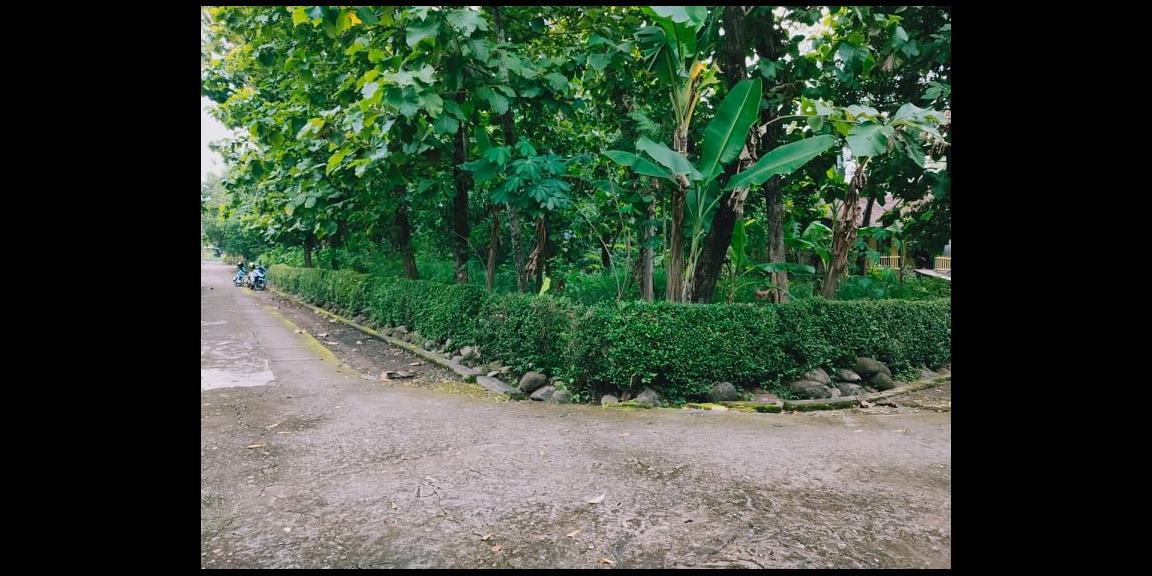 Tanah Hook Strategis Kawasan Permukiman Kedawung Sragen Tanah Hook Strategis Kawasan Permukiman Kedawung Sragen