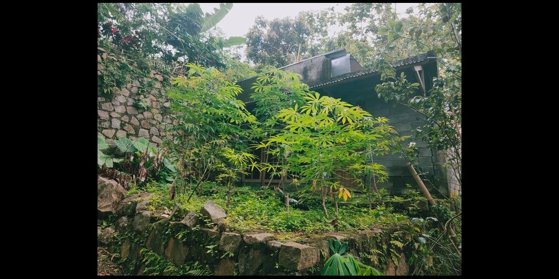 Rumah Siap Huni Kawasan Wisata Karangpandan Karanganyar Rumah Siap Huni Kawasan Wisata Karangpandan Karanganyar