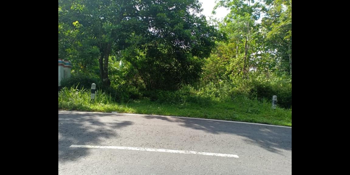 Tanah Strategis Buka Usaha Tepi Jl. Raya Batujamus Karanganyar Tanah Strategis Buka Usaha Tepi Jl. Raya Batujamus Karanganyar