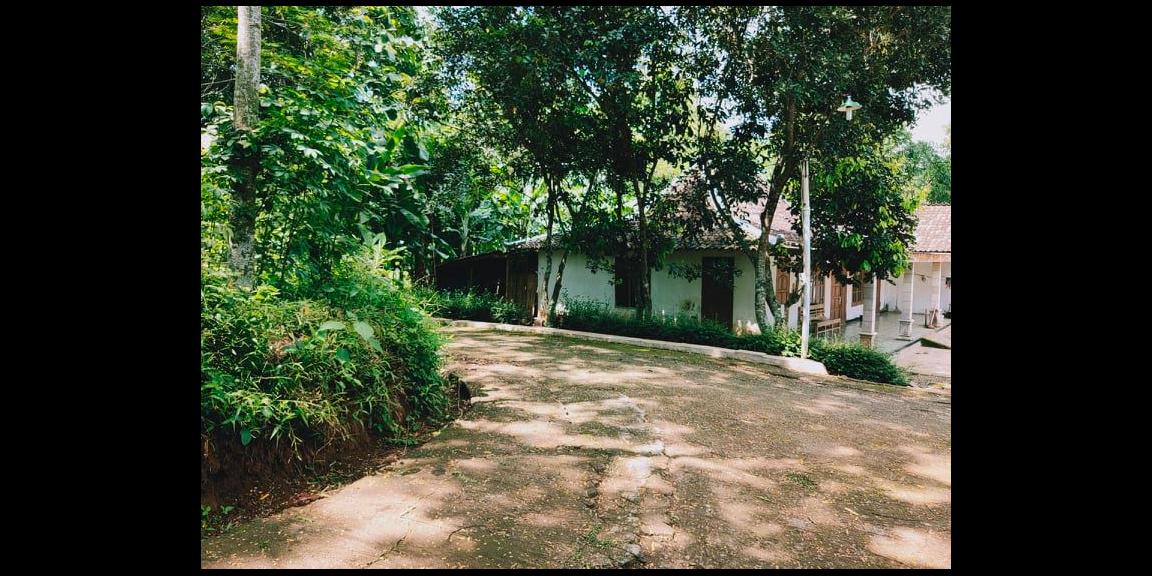 Tanah Datar Subur 3900m² Desa Wisata Mojogedang Karanganyar Tanah Datar Subur 3900m² Desa Wisata Mojogedang Karanganyar