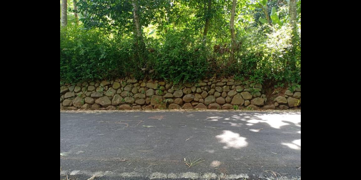 Tanah Strategis Buka Usaha Tepi Jl. Raya Batujamus Karanganyar Tanah Strategis Buka Usaha Tepi Jl. Raya Batujamus Karanganyar