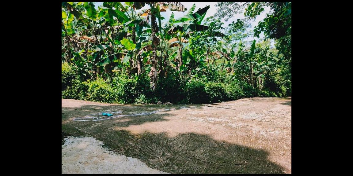 Tanah Datar Subur 3900m² Desa Wisata Mojogedang Karanganyar Tanah Datar Subur 3900m² Desa Wisata Mojogedang Karanganyar