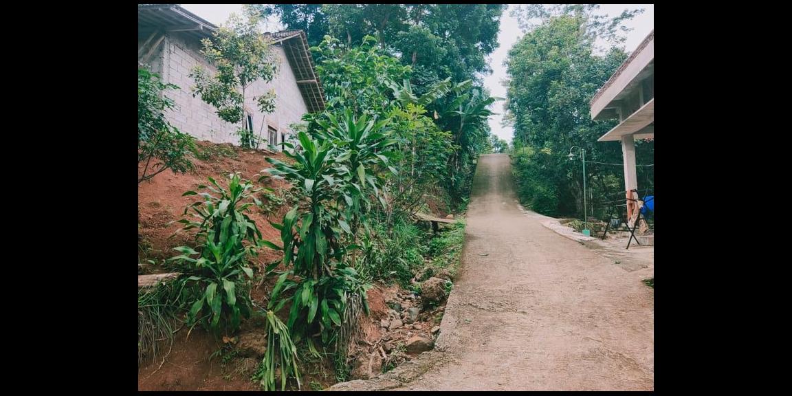 Tanah Bonus Kebun Durian Siap Panen Karangpandan Karanganyar Tanah Bonus Kebun Durian Siap Panen Karangpandan Karanganyar