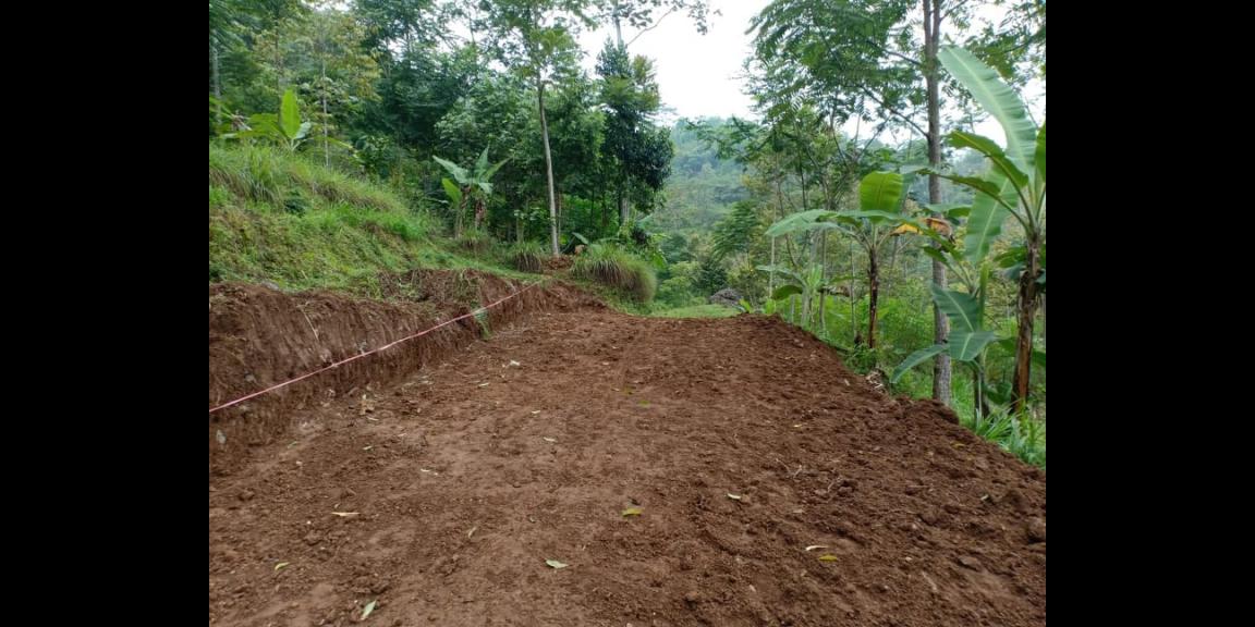 Tanah Idaman View Bukit Perkebunan Teh Kemuning Ngargoyoso Karanganyar Tanah Idaman View Bukit Perkebunan Teh Kemuning Ngargoyoso Karanganyar