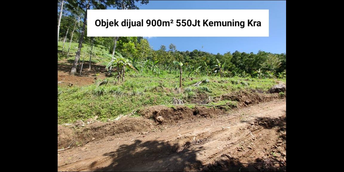 Tanah Idaman View Bukit Perkebunan Teh Kemuning Ngargoyoso Karanganyar Tanah Idaman View Bukit Perkebunan Teh Kemuning Ngargoyoso Karanganyar