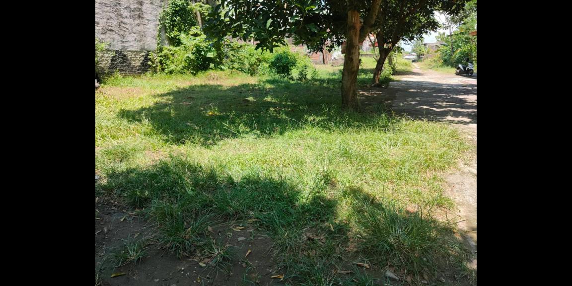 Tanah Datar Strategis Siap Dibangun Sragen Kota Jawa Tengah Tanah Datar Strategis Siap Dibangun Sragen Kota Jawa Tengah