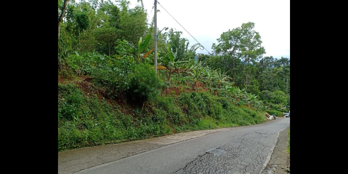 Tanah Subur Strategis Tepi Jl. Raya Kerjo-Kemuning Kerjo Karanganyar Tanah Subur Strategis Tepi Jl. Raya Kerjo-Kemuning Kerjo Karanganyar