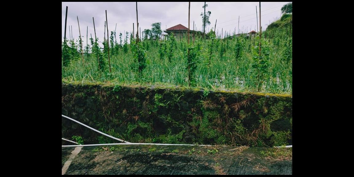 Rumah Vila Siap Huni Kawasan Wisata Alam Kemuning Karanganyar Rumah Vila Siap Huni Kawasan Wisata Alam Kemuning Karanganyar