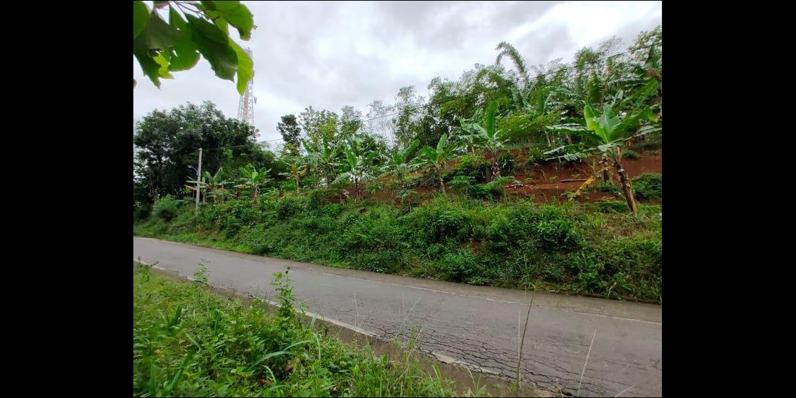 Tanah Subur Strategis Tepi Jl. Raya Kerjo-Kemuning Kerjo Karanganyar Tanah Subur Strategis Tepi Jl. Raya Kerjo-Kemuning Kerjo Karanganyar