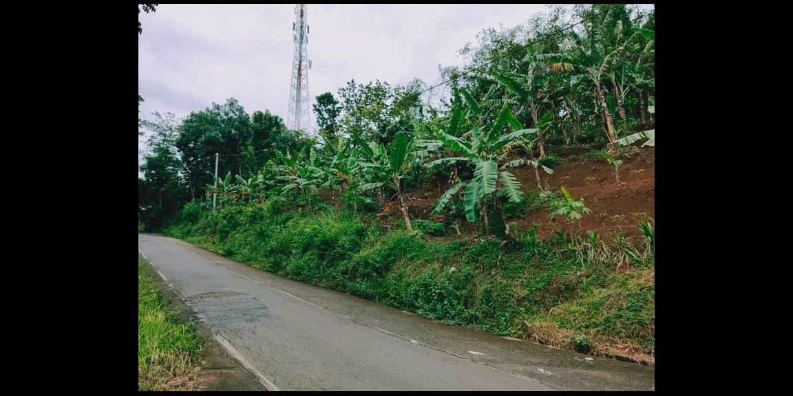 Tanah Subur Strategis Tepi Jl. Raya Kerjo-Kemuning Kerjo Karanganyar Tanah Subur Strategis Tepi Jl. Raya Kerjo-Kemuning Kerjo Karanganyar