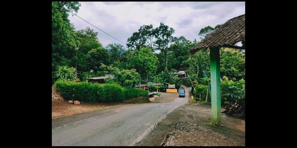 Tanah Subur Strategis Tepi Jl. Raya Kerjo-Kemuning Kerjo Karanganyar Tanah Subur Strategis Tepi Jl. Raya Kerjo-Kemuning Kerjo Karanganyar