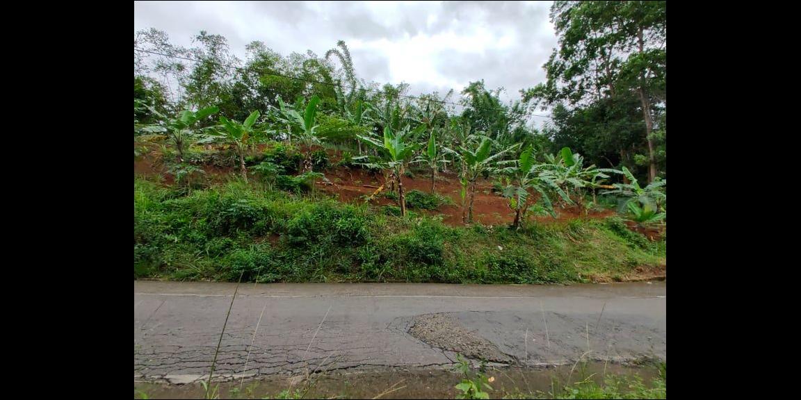 Tanah Subur Strategis Tepi Jl. Raya Kerjo-Kemuning Kerjo Karanganyar Tanah Subur Strategis Tepi Jl. Raya Kerjo-Kemuning Kerjo Karanganyar