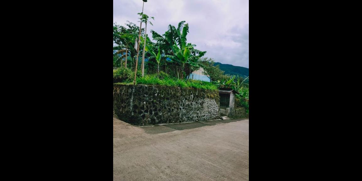 Tanah Pekarangan Datar Dibangun Vila Kemuning Ngargoyoso Karanganyar Tanah Pekarangan Datar Dibangun Vila Kemuning Ngargoyoso Karanganyar