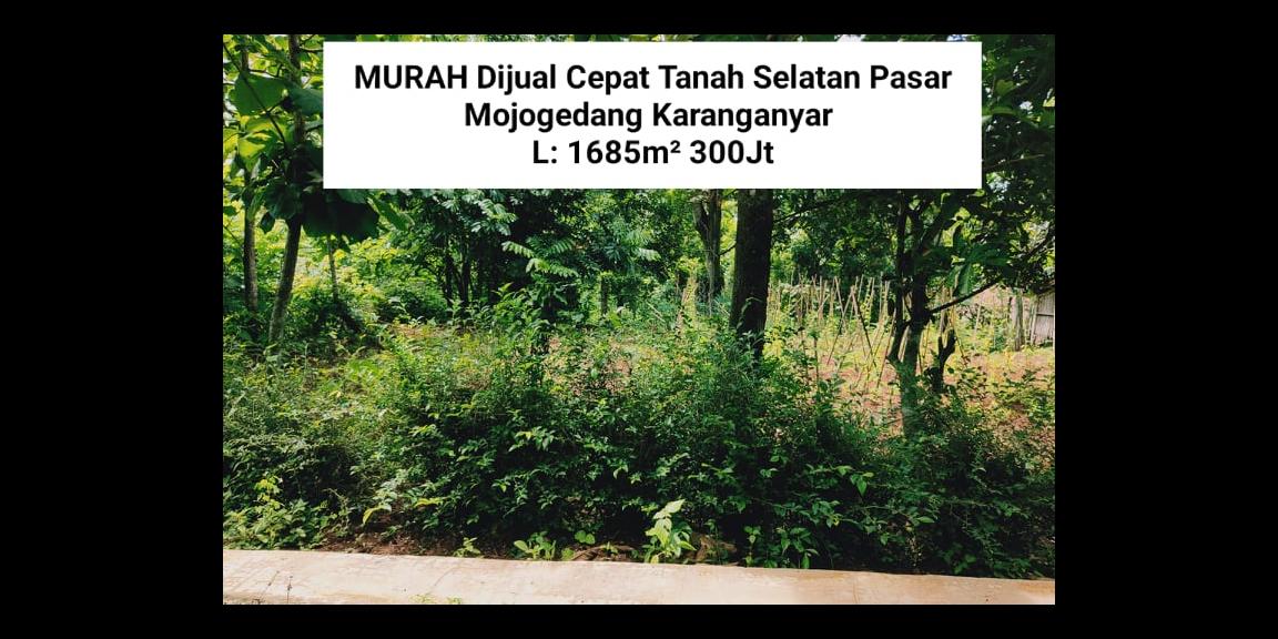 Tanah Subur 1685m² Selatan Pasar Mojogedang Karanganyar Tanah Subur 1685m² Selatan Pasar Mojogedang Karanganyar