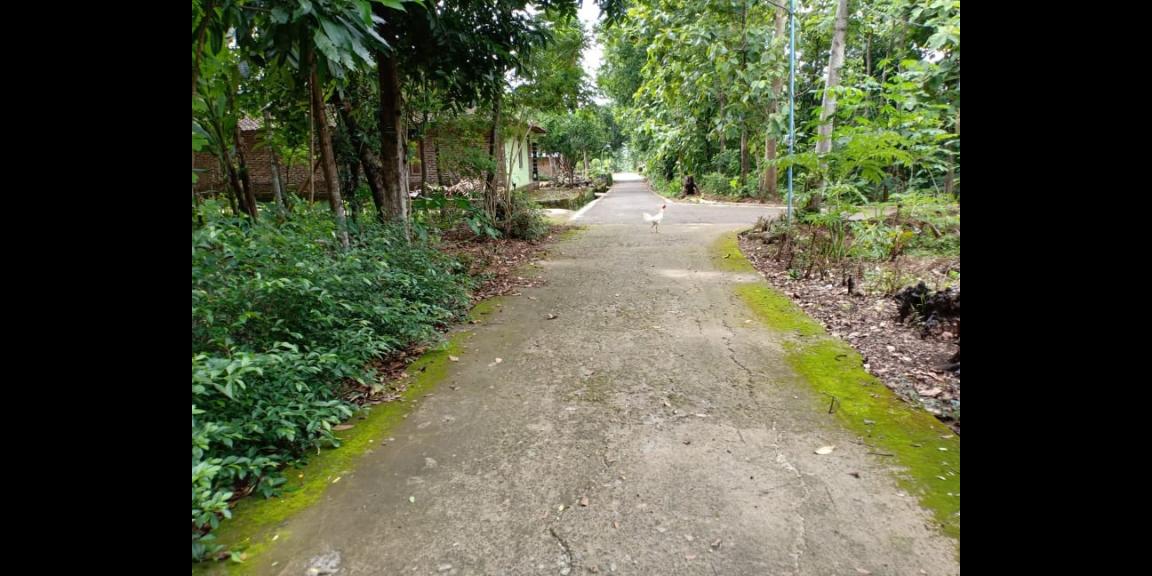 Tanah Kebun Jati Strategis Dibangun Rumah Tasikmadu Karanganyar Tanah Kebun Jati Strategis Dibangun Rumah Tasikmadu Karanganyar