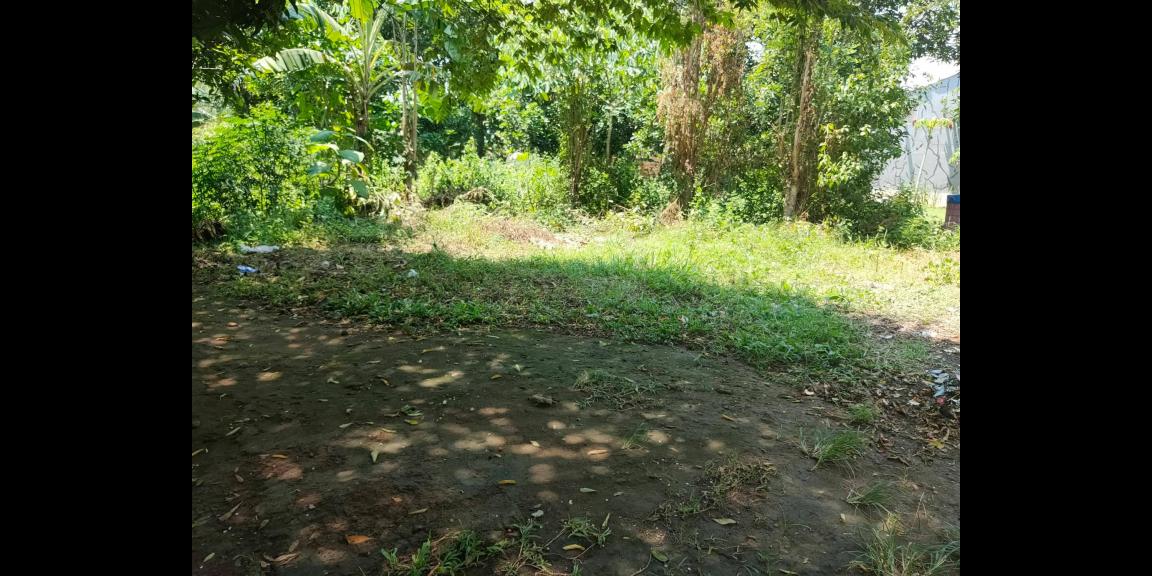 Tanah Datar Strategis Siap Dibangun Sragen Kota Jawa Tengah Tanah Datar Strategis Siap Dibangun Sragen Kota Jawa Tengah