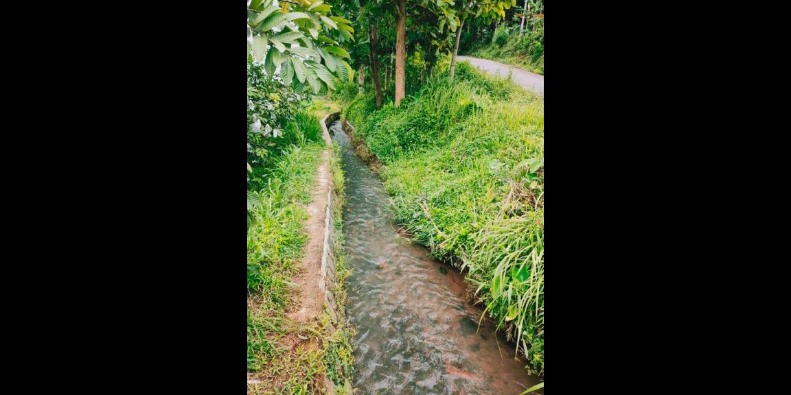 Tanah Subur Strategis Tepi Jl. Raya Kerjo-Kemuning Kerjo Karanganyar Tanah Subur Strategis Tepi Jl. Raya Kerjo-Kemuning Kerjo Karanganyar