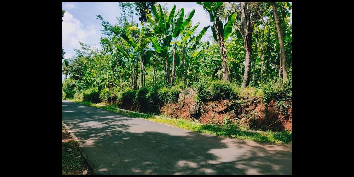 Tanah Datar Siap Dibangun Utara Pasar Mojogedang Karanganyar Tanah Datar Siap Dibangun Utara Pasar Mojogedang Karanganyar