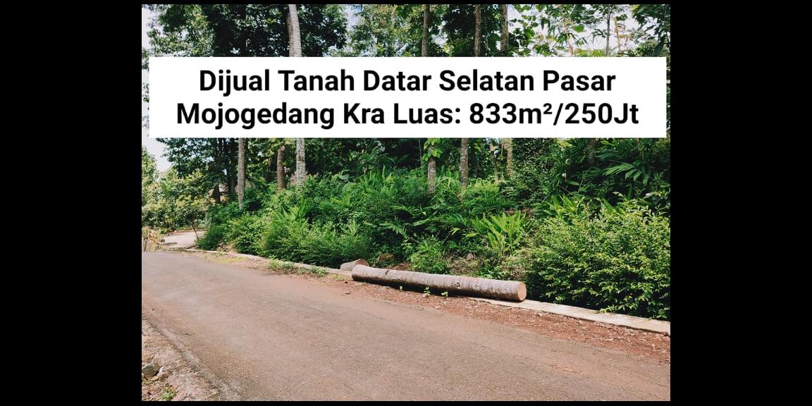 Tanah Datar Tepi Jalan Siap Dibangun Selatan Pasar Mojogedang Kra Tanah Datar Tepi Jalan Siap Dibangun Selatan Pasar Mojogedang Kra