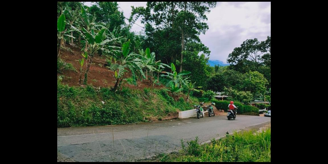 Tanah Subur Strategis Tepi Jl. Raya Kerjo-Kemuning Kerjo Karanganyar Tanah Subur Strategis Tepi Jl. Raya Kerjo-Kemuning Kerjo Karanganyar