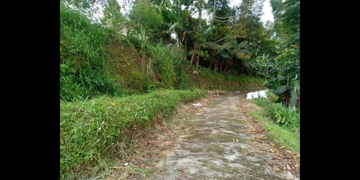 Tanah Dibangun Vila Kawasan Kebun Teh Kemuning Ngargoyoso Karanganyar Tanah Dibangun Vila Kawasan Kebun Teh Kemuning Ngargoyoso Karanganyar